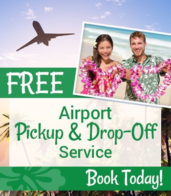 Free Airport Services