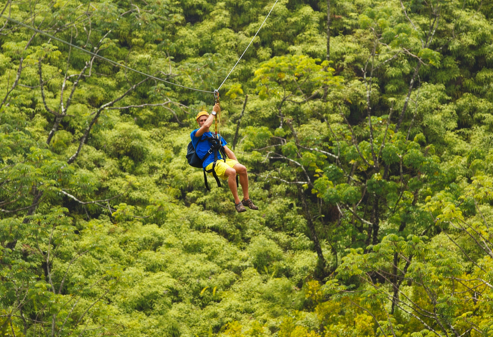 Zipline Maui Off the Beaten Track Car Rental Maui