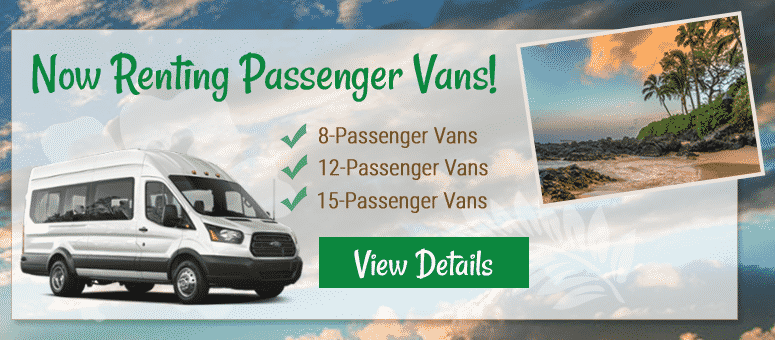 12-Passenger Van Rental Maui