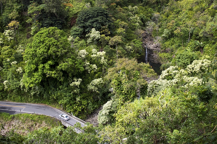 Long-Term Car Rental Maui