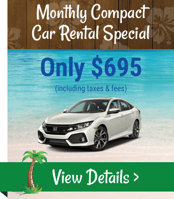 Monthly Compact Car Rental Special
