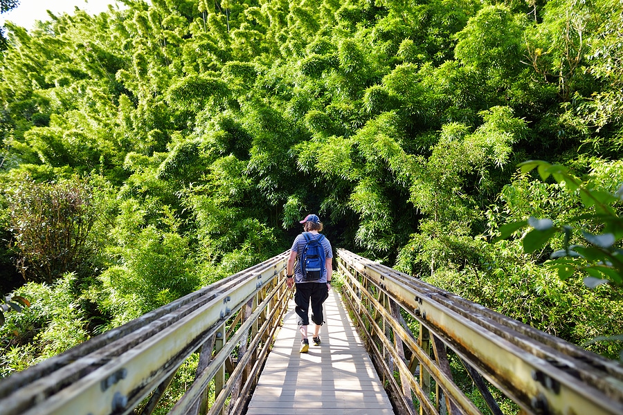 Exploring Maui’s Best Hiking Trails by Rental Car