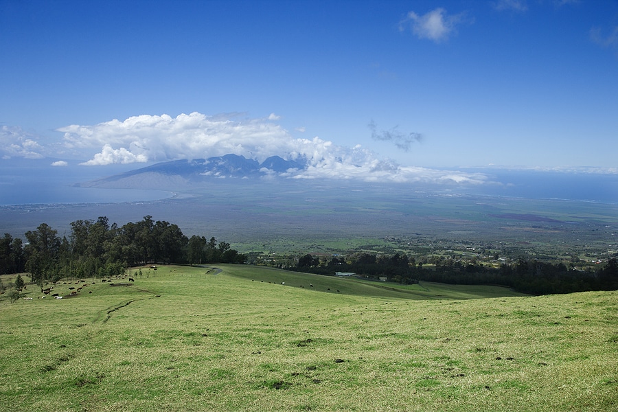 Why a Rental Car Is the Best Way to Experience Maui’s Upcountry